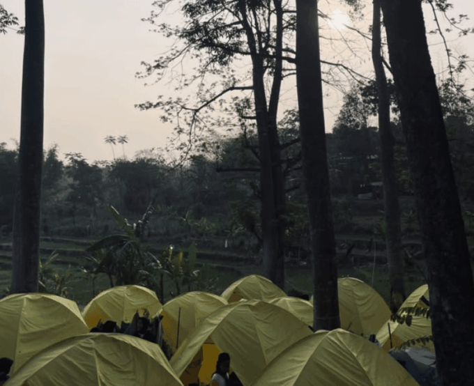 SEMARAK JAMPANAL HW 2026: Ribuan Pandu Cilik Padati Pasuruan Dengan Agenda Kreatif